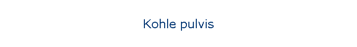 Kohle pulvis