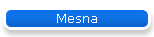 Mesna