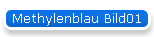 Methylenblau Bild01