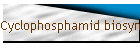 Cyclophosphamid biosyn