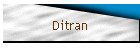 Ditran