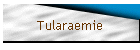 Tularaemie