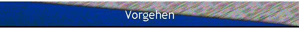 Vorgehen