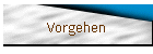 Vorgehen