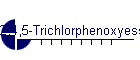 2,4,5-Trichlorphenoxyessigsaeure