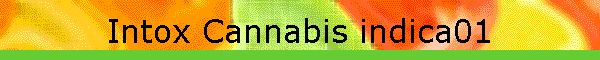 Intox Cannabis indica01