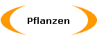 Pflanzen