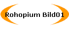 Rohopium Bild01