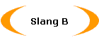 Slang B