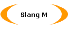 Slang M