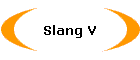 Slang V