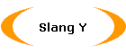 Slang Y