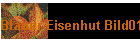 Blauer Eisenhut Bild01