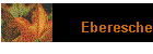 Eberesche