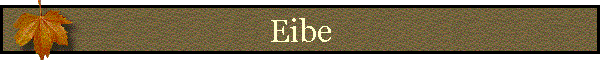 Eibe