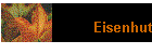 Eisenhut