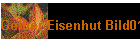 Gelber Eisenhut Bild01