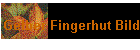 Gelber Fingerhut Bild