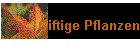 Giftige Pflanzen