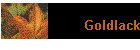 Goldlack