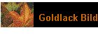 Goldlack Bild