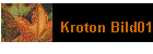 Kroton Bild01