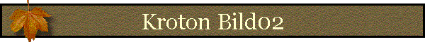 Kroton Bild02