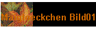 Maigloeckchen Bild01