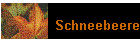 Schneebeere