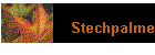Stechpalme