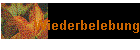 Wiederbelebung