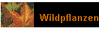 Wildpflanzen