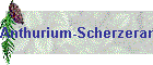 Anthurium-Scherzeranum