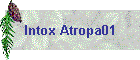 Intox Atropa01