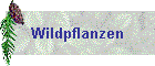 Wildpflanzen