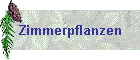 Zimmerpflanzen