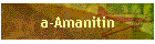 a-Amanitin