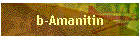 b-Amanitin
