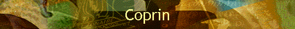 Coprin