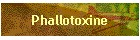 Phallotoxine