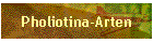 Pholiotina-Arten