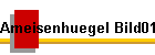 Ameisenhuegel Bild01