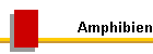 Amphibien