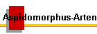 Aspidomorphus-Arten