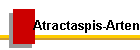 Atractaspis-Arten