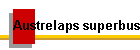 Austrelaps superbus