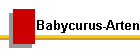 Babycurus-Arten