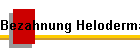 Bezahnung Heloderma