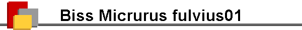 Biss Micrurus fulvius01