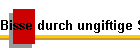 Bisse durch ungiftige Schlangen Bild01